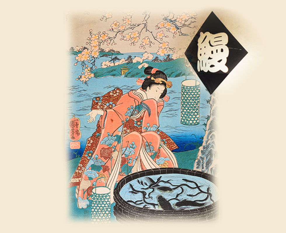 Kabayaki or broiled eels is one of the most popular dishes in Japanese food culture
